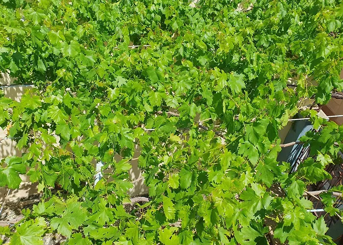 Сasa de vacaciones Yiannis Sokaki House *