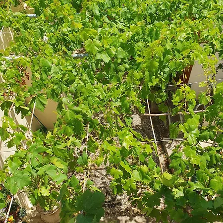 Ferienhaus Yiannis Sokaki House *