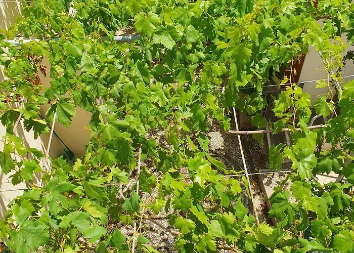 Prázdninový dům Yiannis Sokaki House *